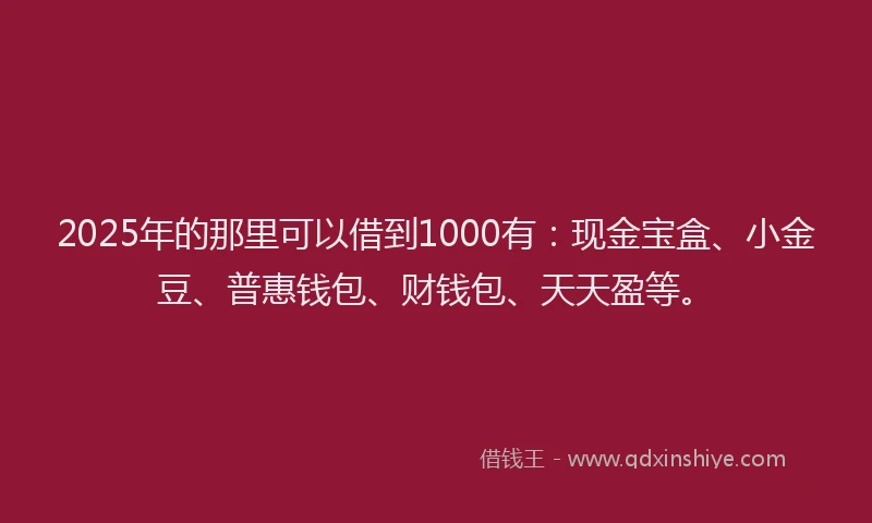 2025年的那里可以借到1000有：现金宝盒、小金豆、普惠钱包、财钱包、天天盈等。