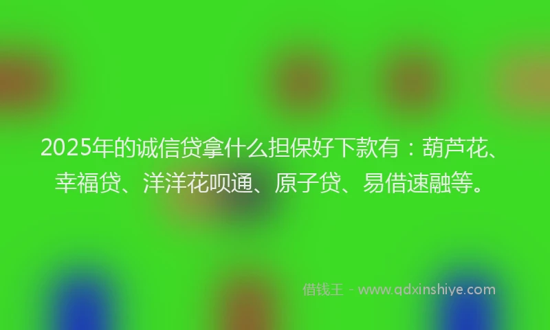 2025年的诚信贷拿什么担保好下款有：葫芦花、幸福贷、洋洋花呗通、原子贷、易借速融等。