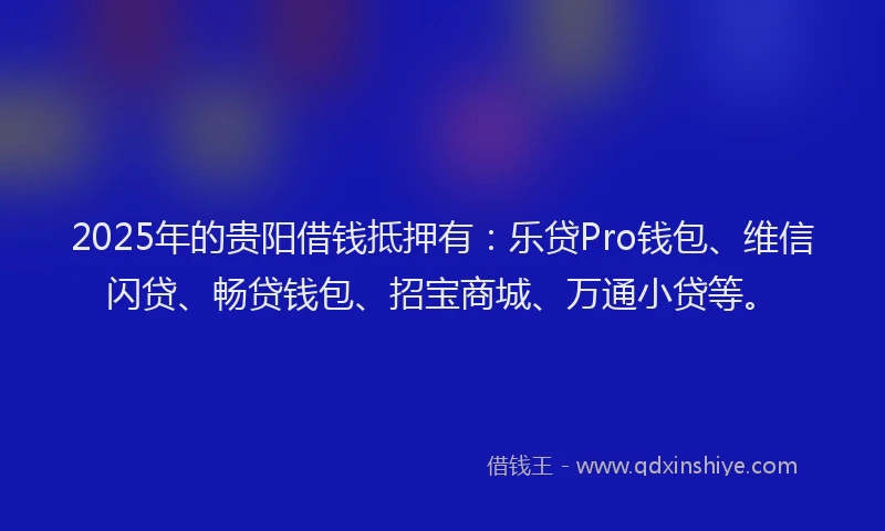 2025年的贵阳借钱抵押有：乐贷Pro钱包、维信闪贷、畅贷钱包、招宝商城、万通小贷等。