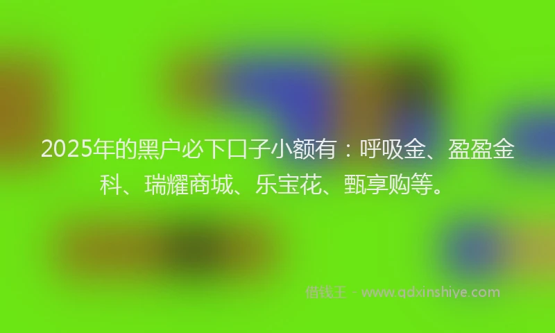 2025年的黑户必下口子小额有：呼吸金、盈盈金科、瑞耀商城、乐宝花、甄享购等。