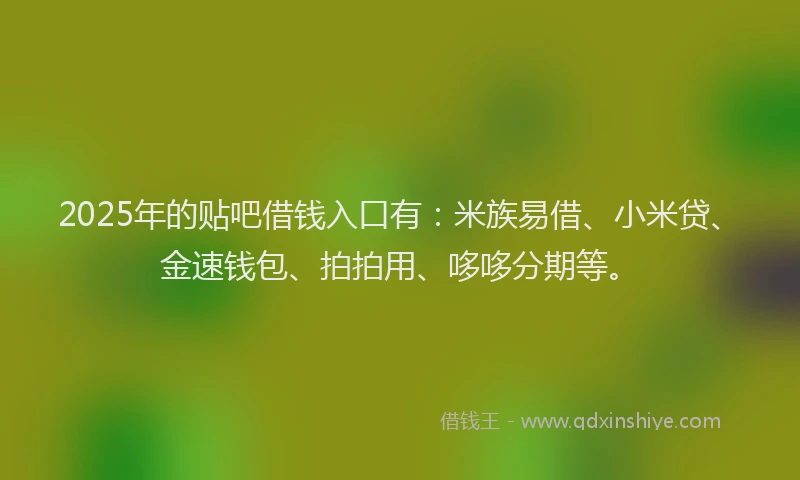 2025年的贴吧借钱入口有：米族易借、小米贷、金速钱包、拍拍用、哆哆分期等。
