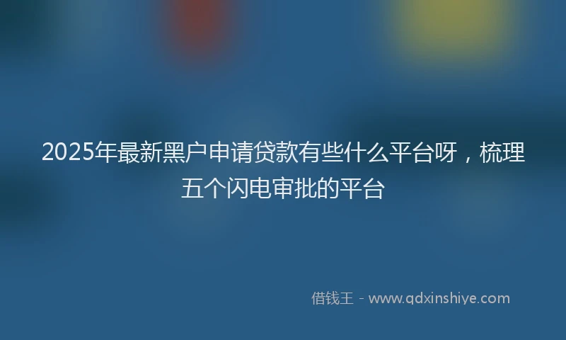 2025年最新黑户申请贷款有些什么平台呀，梳理五个闪电审批的平台