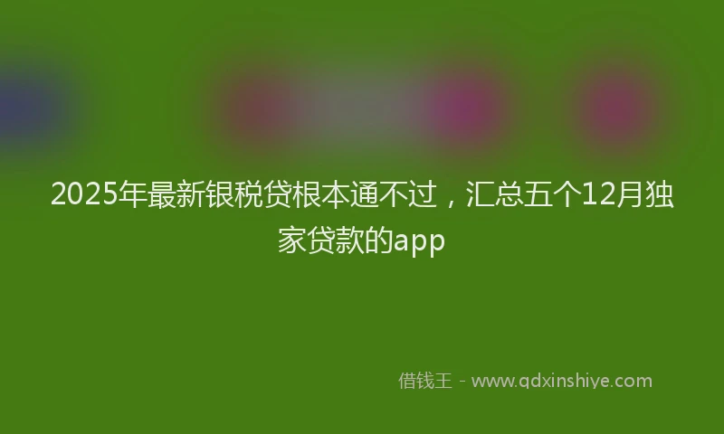 2025年最新银税贷根本通不过，汇总五个12月独家贷款的app