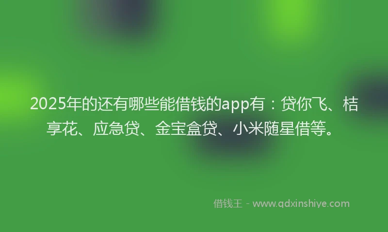 2025年的还有哪些能借钱的app有：贷你飞、桔享花、应急贷、金宝盒贷、小米随星借等。