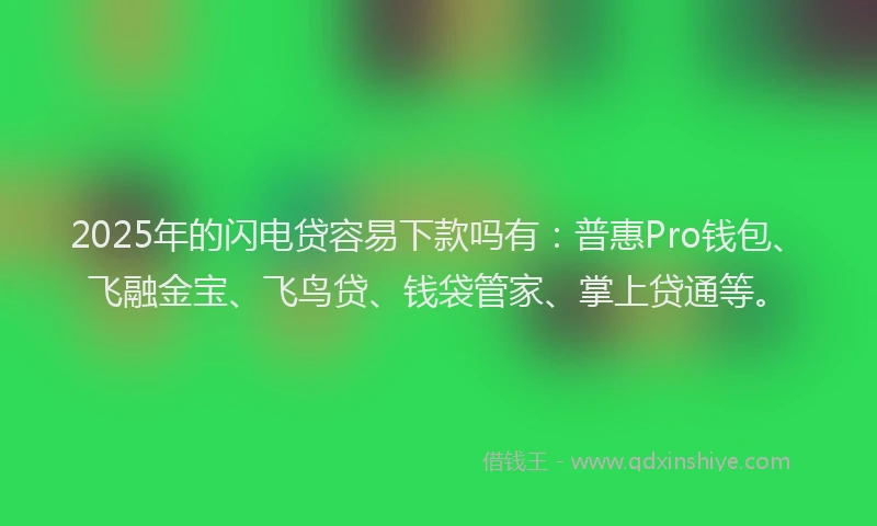 2025年的闪电贷容易下款吗有：普惠Pro钱包、飞融金宝、飞鸟贷、钱袋管家、掌上贷通等。