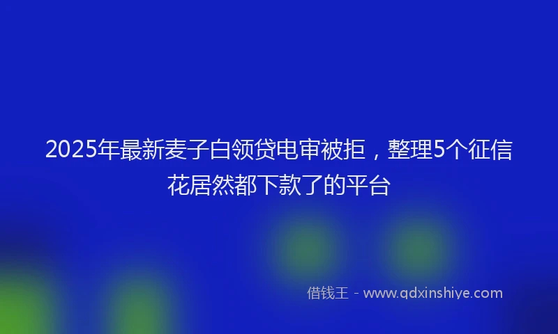 2025年最新麦子白领贷电审被拒，整理5个征信花居然都下款了的平台