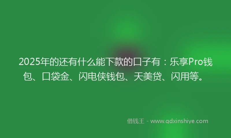 2025年的还有什么能下款的口子有：乐享Pro钱包、口袋金、闪电侠钱包、天美贷、闪用等。