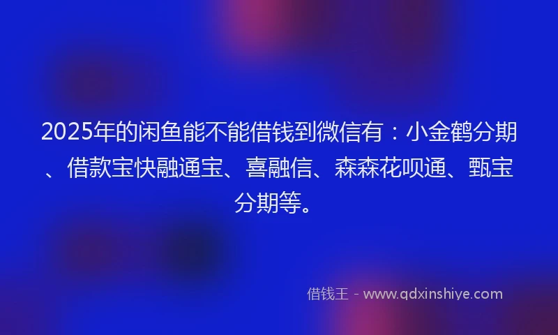 2025年的闲鱼能不能借钱到微信有：小金鹤分期、借款宝快融通宝、喜融信、森森花呗通、甄宝分期等。