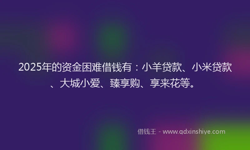 2025年的资金困难借钱有：小羊贷款、小米贷款、大城小爱、臻享购、享来花等。