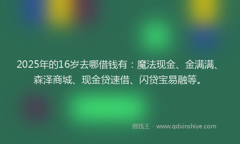 2025年的16岁去哪借钱有：魔法现金、金满满、森泽商城、现金贷速借、闪贷宝易融等。