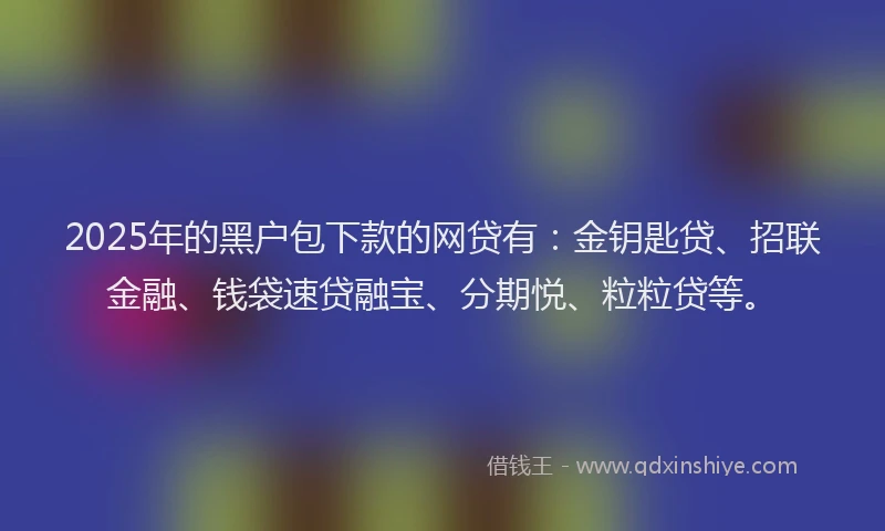 2025年的黑户包下款的网贷有：金钥匙贷、招联金融、钱袋速贷融宝、分期悦、粒粒贷等。