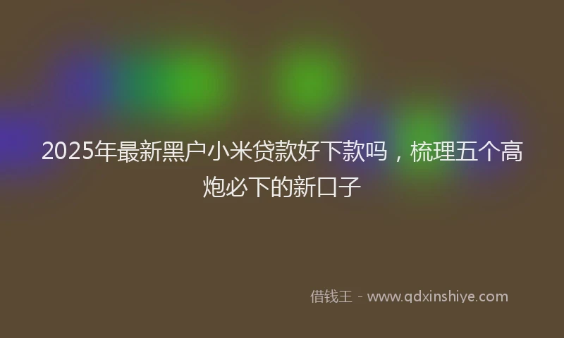 2025年最新黑户小米贷款好下款吗，梳理五个高炮必下的新口子