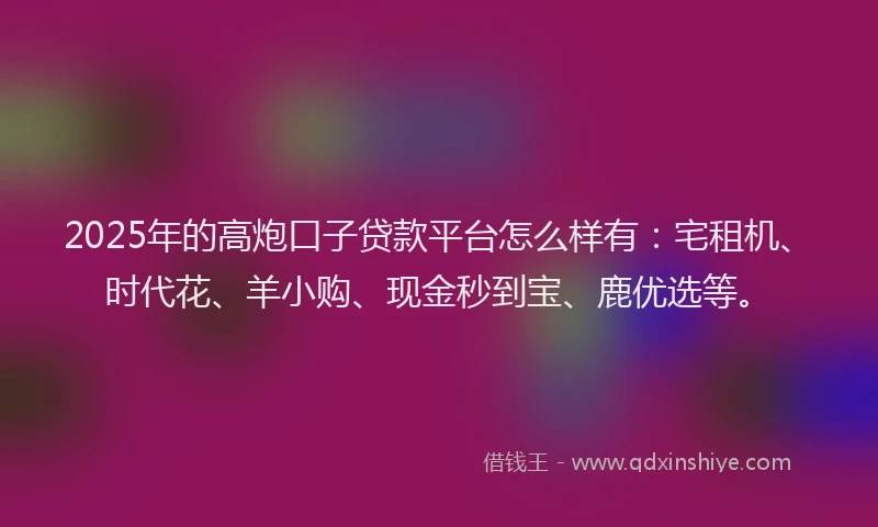 2025年的高炮口子贷款平台怎么样有：宅租机、时代花、羊小购、现金秒到宝、鹿优选等。