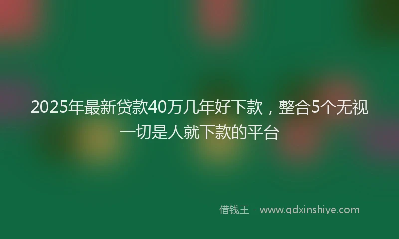 2025年最新贷款40万几年好下款，整合5个无视一切是人就下款的平台
