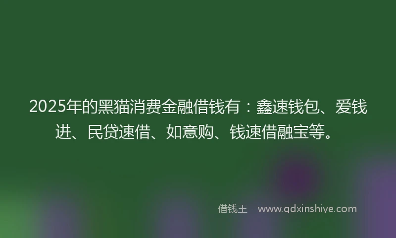 2025年的黑猫消费金融借钱有:鑫速钱包、爱钱进、民贷速借、如意购、钱速借融宝等。