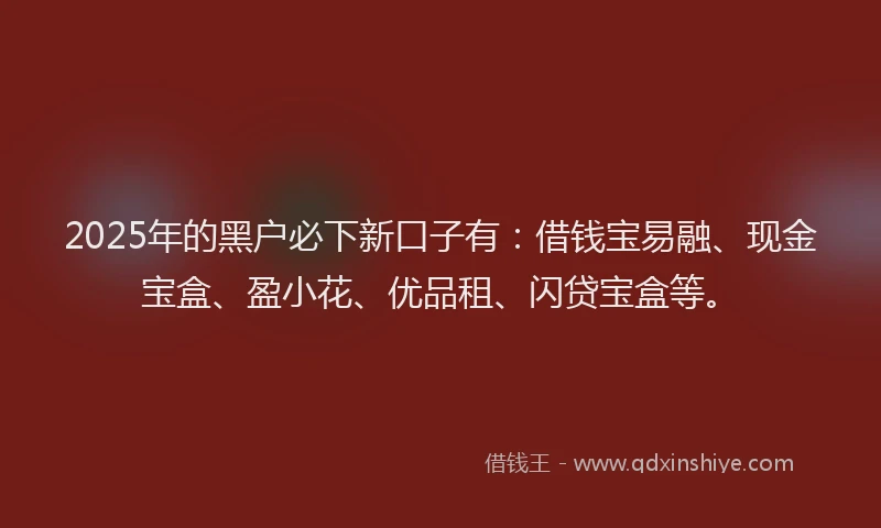 2025年的黑户必下新口子有：借钱宝易融、现金宝盒、盈小花、优品租、闪贷宝盒等。