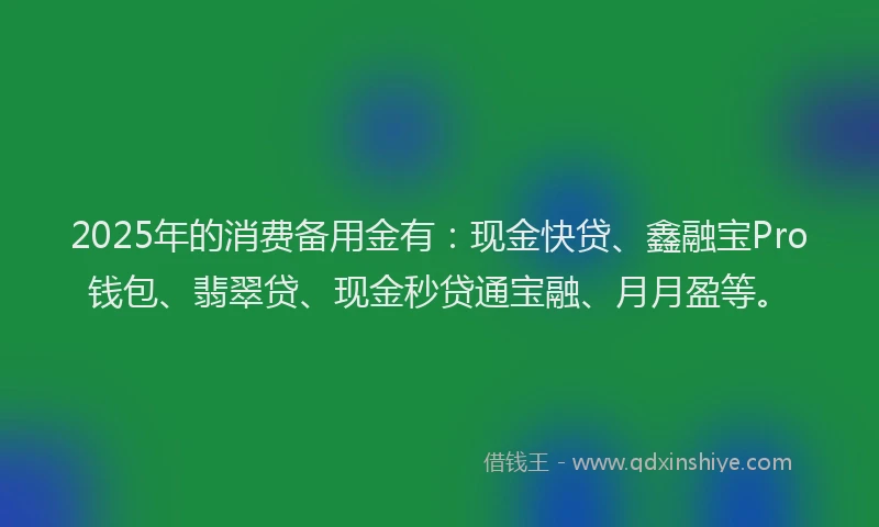 2025年的消费备用金有：现金快贷、鑫融宝Pro钱包、翡翠贷、现金秒贷通宝融、月月盈等。