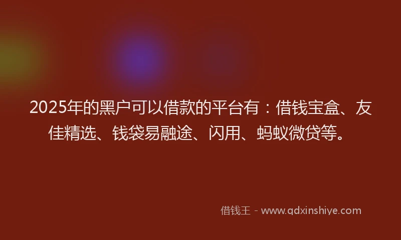 2025年的黑户可以借款的平台有：借钱宝盒、友佳精选、钱袋易融途、闪用、蚂蚁微贷等。