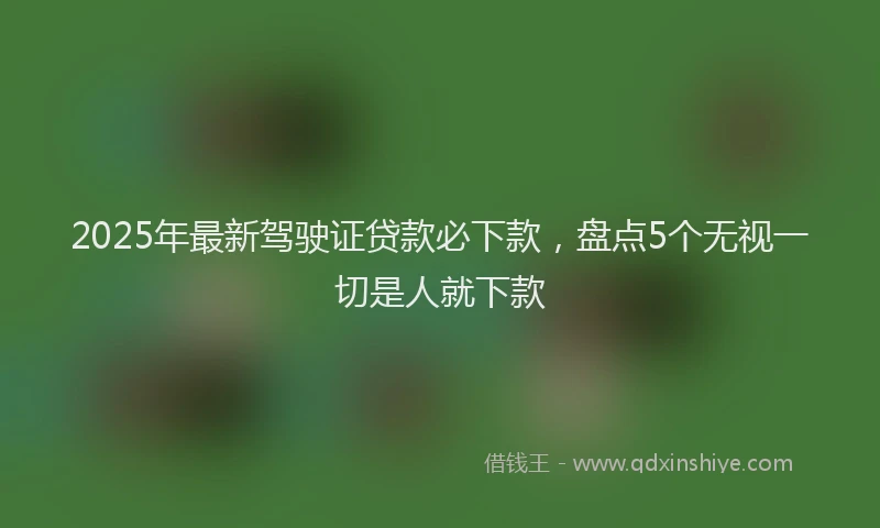 2025年最新驾驶证贷款必下款，盘点5个无视一切是人就下款