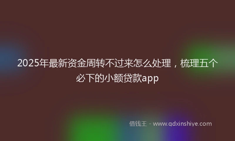 2025年最新资金周转不过来怎么处理，梳理五个必下的小额贷款app