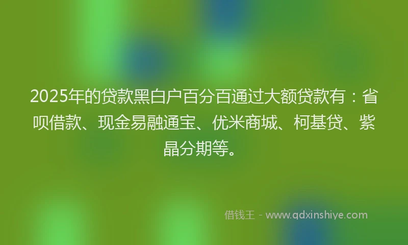 2025年的贷款黑白户百分百通过大额贷款有：省呗借款、现金易融通宝、优米商城、柯基贷、紫晶分期等。
