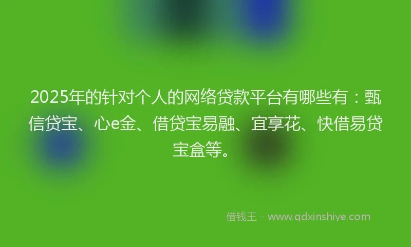 2025年的针对个人的网络贷款平台有哪些有：甄信贷宝、心e金、借贷宝易融、宜享花、快借易贷宝盒等。