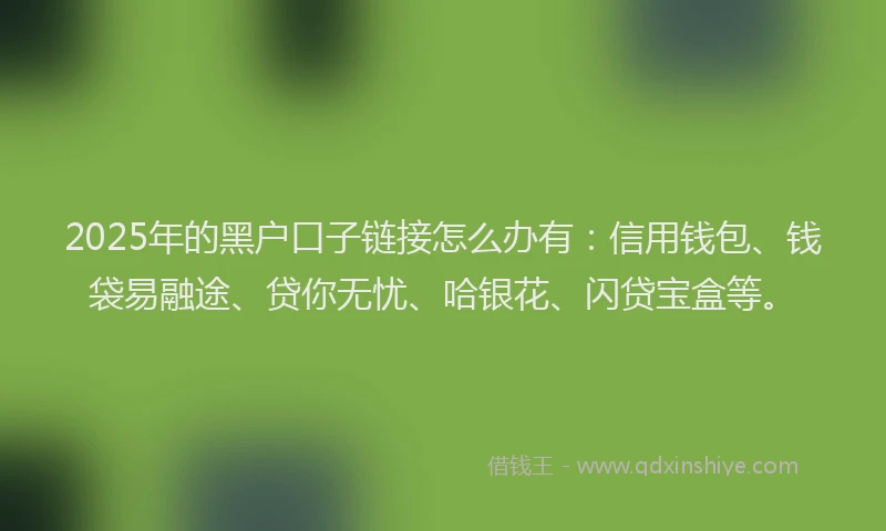 2025年的黑户口子链接怎么办有：信用钱包、钱袋易融途、贷你无忧、哈银花、闪贷宝盒等。