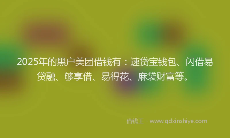2025年的黑户美团借钱有：速贷宝钱包、闪借易贷融、够享借、易得花、麻袋财富等。