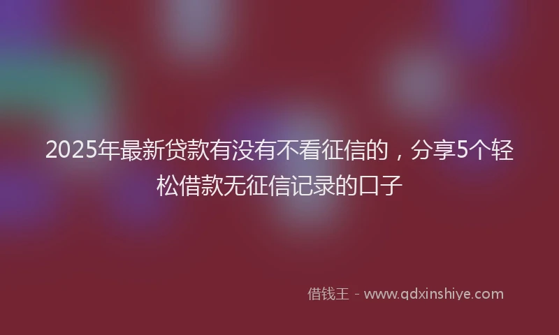 2025年最新贷款有没有不看征信的，分享5个轻松借款无征信记录的口子