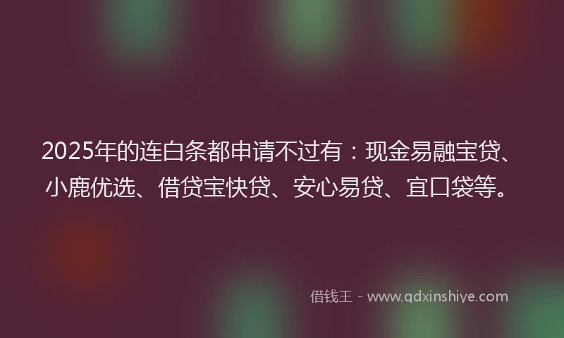2025年的连白条都申请不过有：现金易融宝贷、小鹿优选、借贷宝快贷、安心易贷、宜口袋等。
