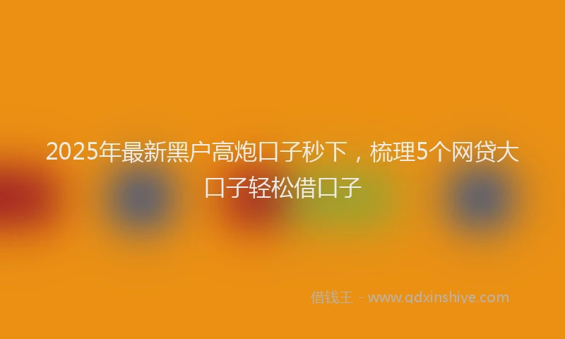 2025年最新黑户高炮口子秒下，梳理5个网贷大口子轻松借口子
