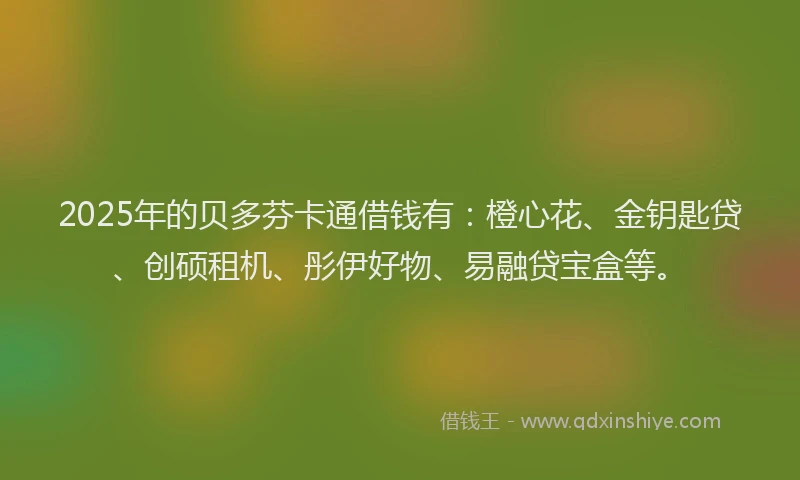 2025年的贝多芬卡通借钱有：橙心花、金钥匙贷、创硕租机、彤伊好物、易融贷宝盒等。