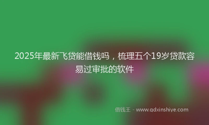 2025年最新飞贷能借钱吗，梳理五个19岁贷款容易过审批的软件
