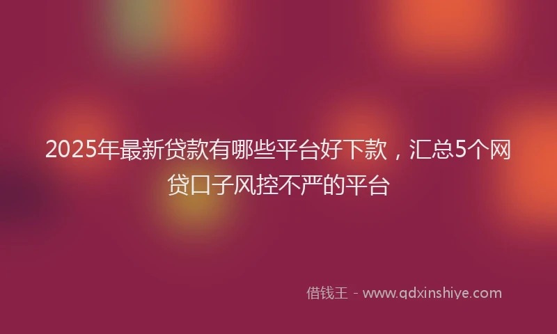 2025年最新贷款有哪些平台好下款，汇总5个网贷口子风控不严的平台
