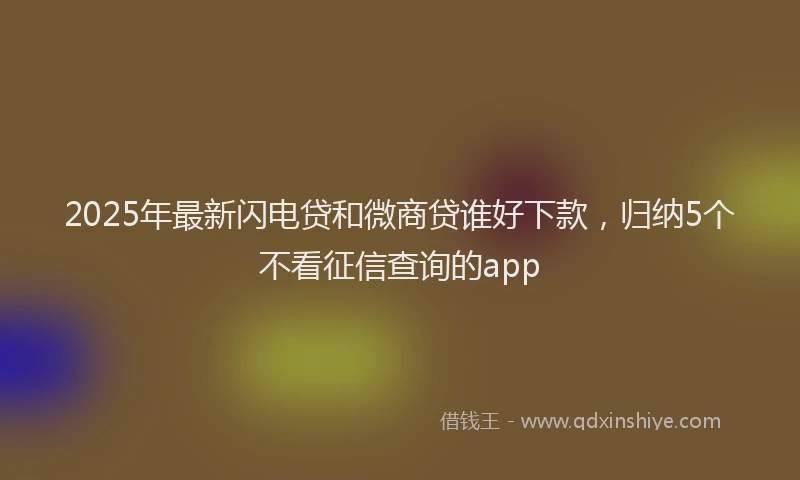 2025年最新闪电贷和微商贷谁好下款，归纳5个不看征信查询的app