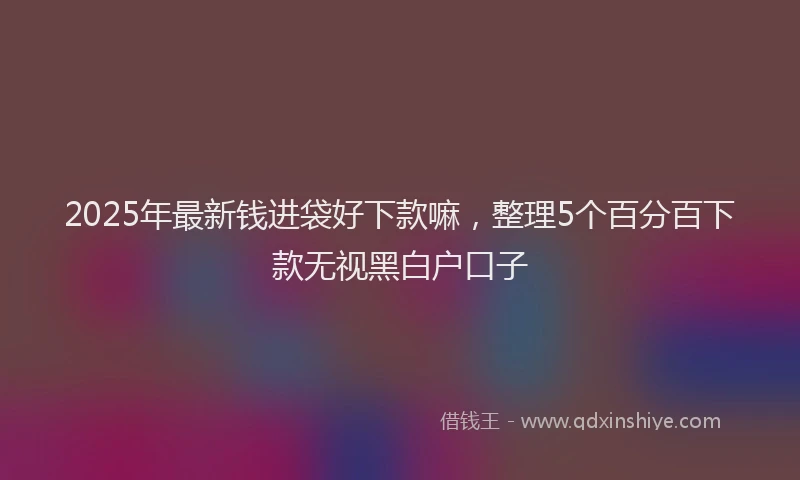 2025年最新钱进袋好下款嘛，整理5个百分百下款无视黑白户口子