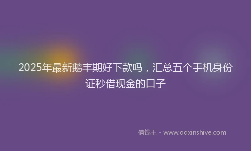2025年最新鹅丰期好下款吗，汇总五个手机身份证秒借现金的口子