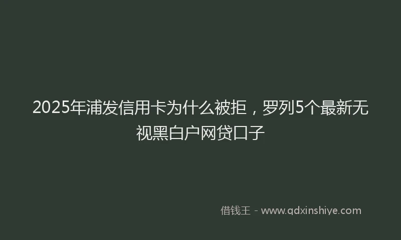 2025年浦发信用卡为什么被拒，罗列5个最新无视黑白户网贷口子
