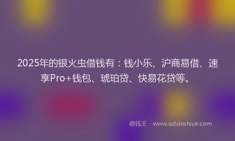 2025年的银火虫借钱有：钱小乐、沪商易借、速享Pro+钱包、琥珀贷、快易花贷等。