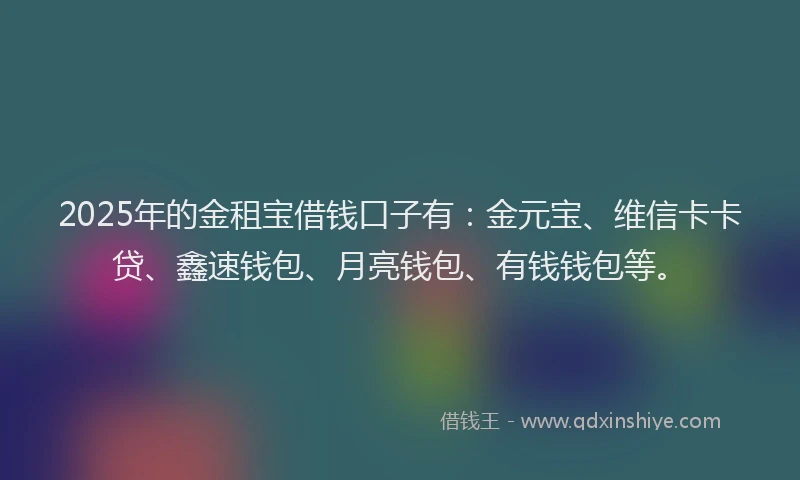 2025年的金租宝借钱口子有：金元宝、维信卡卡贷、鑫速钱包、月亮钱包、有钱钱包等。