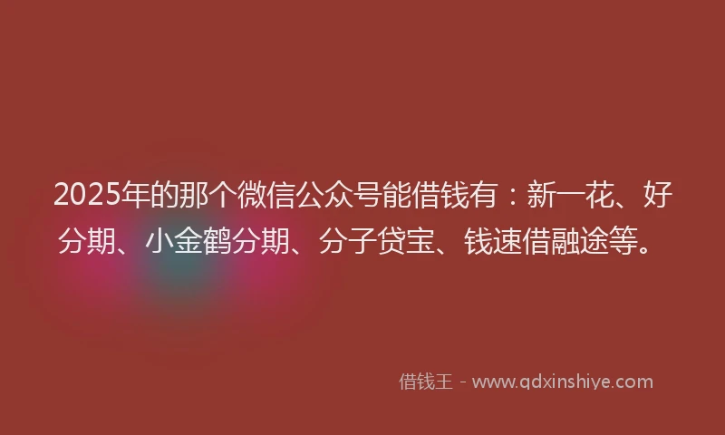 2025年的那个微信公众号能借钱有：新一花、好分期、小金鹤分期、分子贷宝、钱速借融途等。