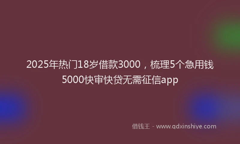 2025年热门18岁借款3000，梳理5个急用钱5000快审快贷无需征信app