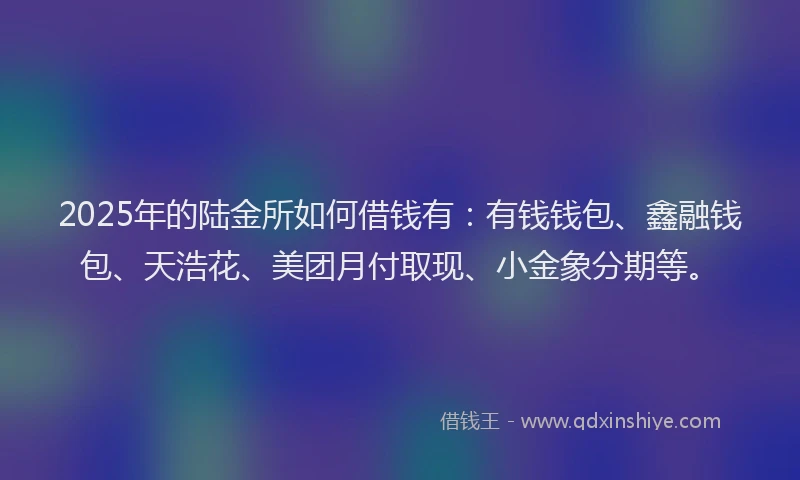 2025年的陆金所如何借钱有：有钱钱包、鑫融钱包、天浩花、美团月付取现、小金象分期等。