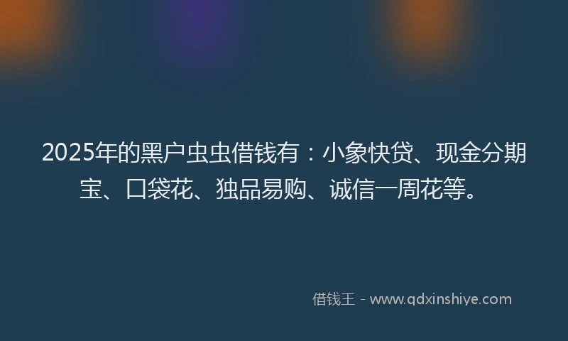 2025年的黑户虫虫借钱有：小象快贷、现金分期宝、口袋花、独品易购、诚信一周花等。