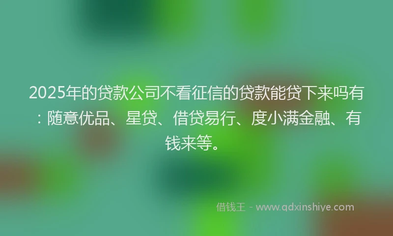 2025年的贷款公司不看征信的贷款能贷下来吗有：随意优品、星贷、借贷易行、度小满金融、有钱来等。