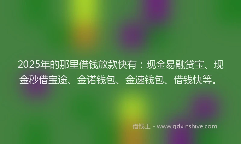 2025年的那里借钱放款快有：现金易融贷宝、现金秒借宝途、金诺钱包、金速钱包、借钱快等。