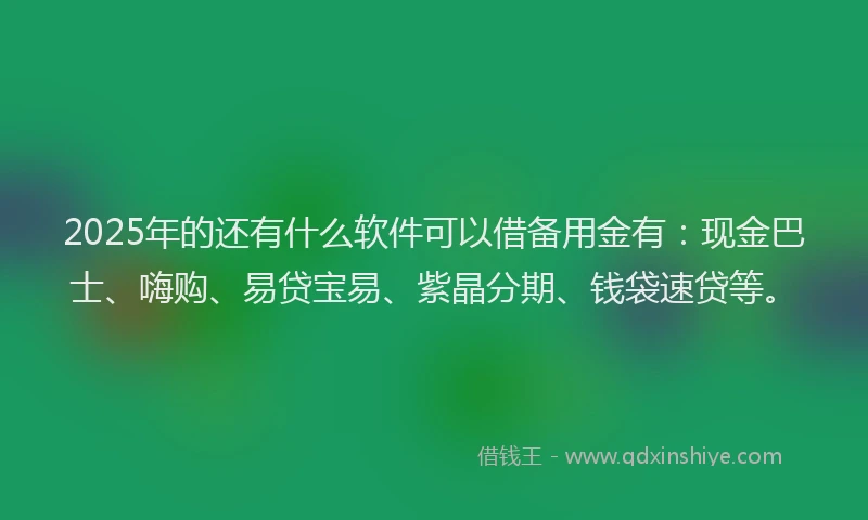 2025年的还有什么软件可以借备用金有：现金巴士、嗨购、易贷宝易、紫晶分期、钱袋速贷等。