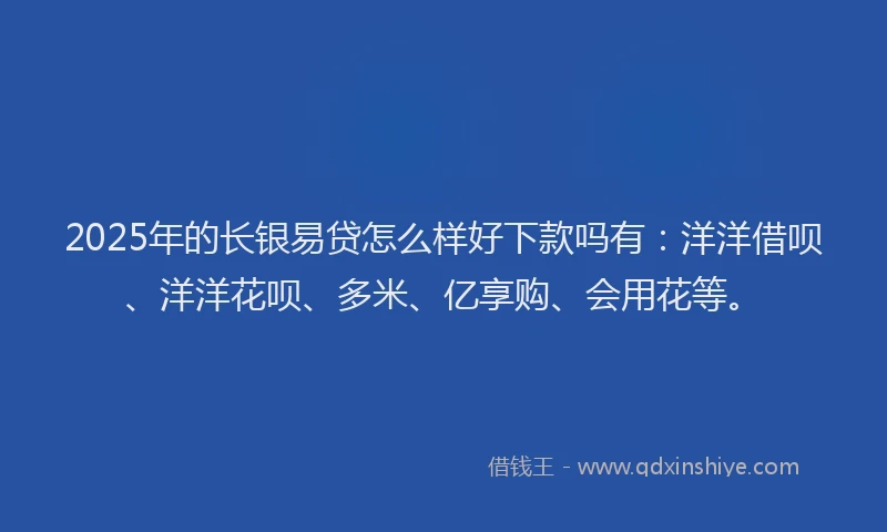 2025年的长银易贷怎么样好下款吗有：洋洋借呗、洋洋花呗、多米、亿享购、会用花等。