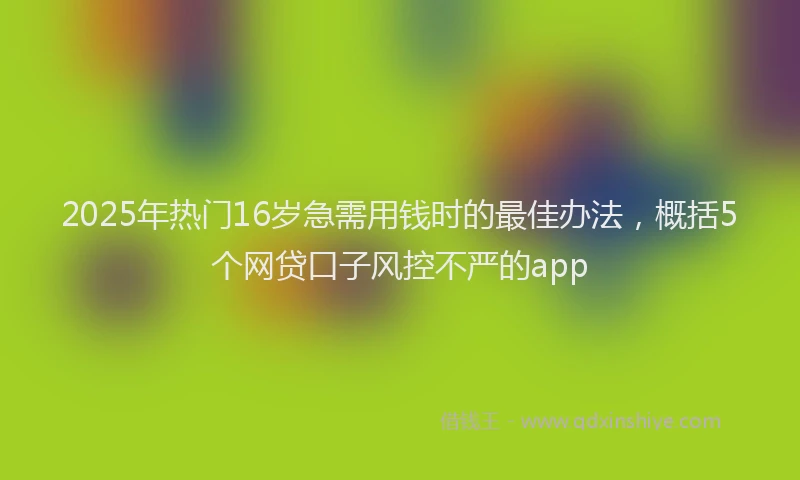 2025年热门16岁急需用钱时的最佳办法，概括5个网贷口子风控不严的app