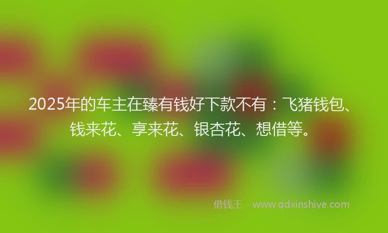 2025年的车主在臻有钱好下款不有：飞猪钱包、钱来花、享来花、银杏花、想借等。